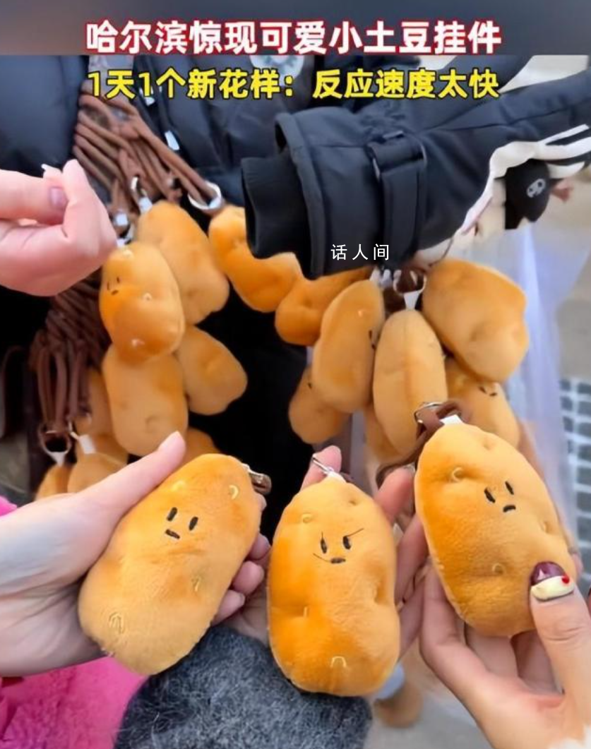 哈尔滨惊现小土豆挂件 圆圆乎乎超级可爱