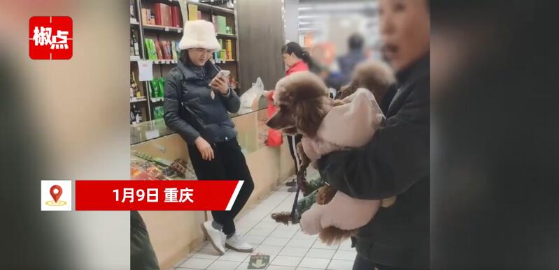 狗狗乱尿店员提醒 主人:给狗道歉
