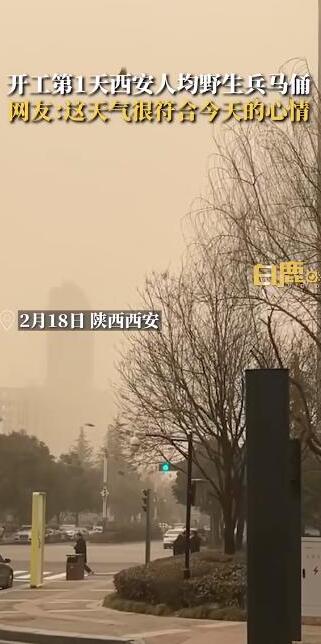 开工第1天西安人均野生兵马俑